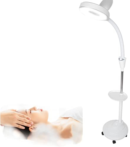 Lámpara de pie con lupa de 8 x + 5 ruedas, iluminación estética, luz LED fría ajustable para tatuajes de belleza