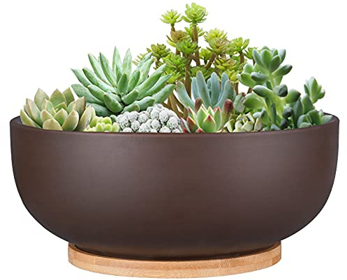 Thirtypot Fioriera in terracotta da 25 cm, grande vaso per bonsai con foro di drenaggio e piattino in bambù, per piante da interno, marrone