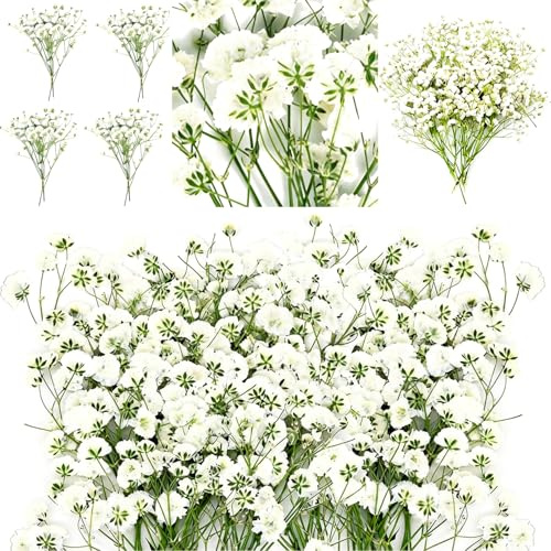 60 torkade konstgjorda brudslöjeblomster med pincett, äkta naturliga torkade blommor för harts, hantverk, DIY-kort, bröllop och tårtor (Vit)