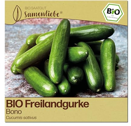 Samenliebe BIO Gurken Samen | Freilandgurke Bono - groß & bitterfrei - samenfestes BIO Saatgut