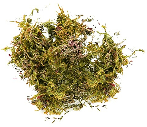 Artificial Moss Fake Faux Fresh Green Moss Decorative Fake Bulk Moss for Flower Plant Garden Lawn Crafts Decoration 50g/pack
