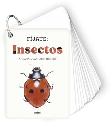 Fíjate: insectos: Pequeña guía para iniciarse en la observación de insectos: 5