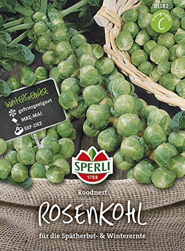 Rosenkohl Roodnerf | Rosenkohlsamen von Sperli-Samen