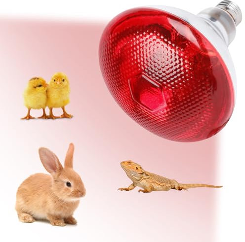 SKIKHN 250W Lampada Infrarossi Riscaldante, Lampada Spot Infrarossi Riscaldante, E27 Lampade Infrarosse, E27 Lampade Riscaldanti per Rettili, Anfibi, Termoterapia