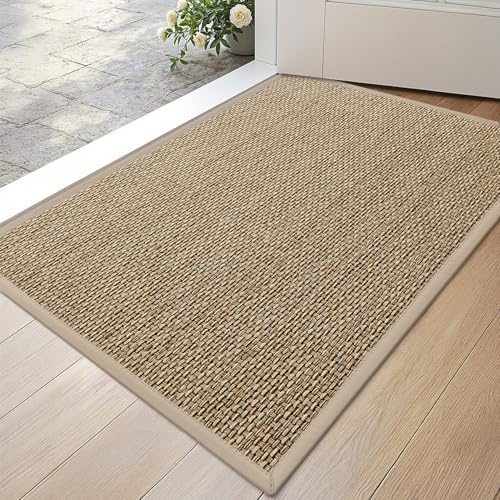 DEXI Felpudo Entrada Casa 43 x 76 cm, Alfombra Puerta Interior Antideslizante con Base de Goma, Felpudos Absorbente Suciedad y Humedad, Perfil Bajo, Fácil de Limpiar, Beige