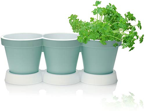 com-four® 3er Kräutertopf mit Untersetzer - Pflanzentopf für Blumen und Kräuter - Deko Blumentopf für Garten, Balkon und Wohnung (Kräutertopf - türkis)
