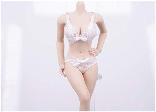 ZSMD 1/6 Lace Underwear Set Action Doll Bekleidung für HT Verycool TTL Play Phicen B