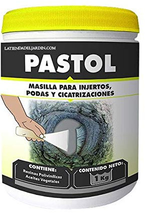 Suinga Mastic pour Greffes et Tailles 1 kg | Protège, Répare et Régénère les Blessures des Plantes | Pâte cicatrisante arbres | Pâte cicatrisante taille