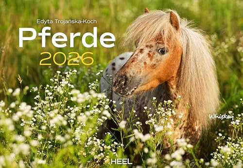 Pferde Kalender 2026 Wandkalender: Der Tierkalender mit den charmanten Namen Pferde Fohlen Stuten Naturkalender