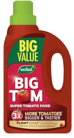 Westland Big Tom Super Tomato Food - Tomato Fertiliser for Bigger, Juicier Tomatoes, High in Potash, Promotes Healthy Growth, Ideal for Outdoor & Greenhouse Tomatoes (2L)