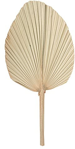 Artifetes Générique - Feuille Palmier SÉCHÉE ÉVENTAIL 70X33CM Nature