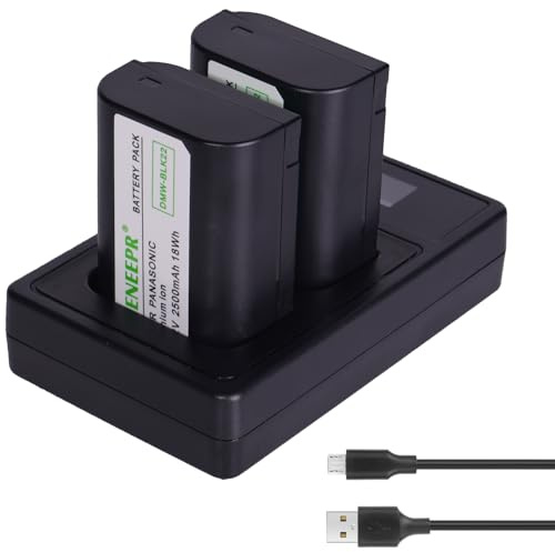 2X 7.2V Li-ION Batteries DMW-BLK22 de Rechange et chargeurs Compatible avec Panasonic Lumix DC-S5 DC-S5 II DC-S5 IIX GH5 II GH6 S5II S5M2 GH5M2