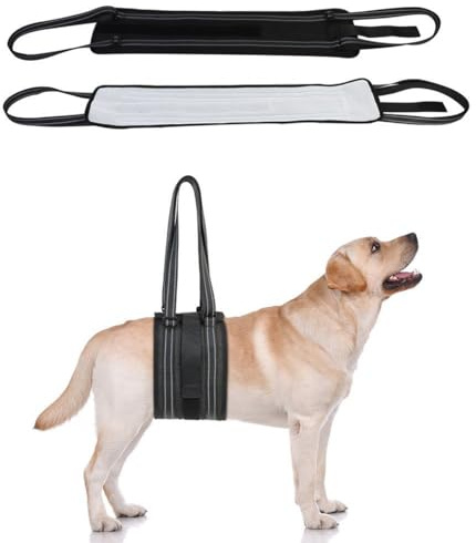GXGM 1 PCS Accessori per Animali Domestici Imbracatura per Cani,Imbracatura Cane Zampe Posteriori,per Sostenere Cani Disabili e Cani Anziani,Adatto a Cani di Grandi(L)