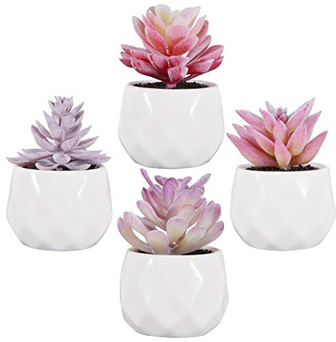 Zalava Set di 4 Piante Artificiali Succulenti in Vasi Mini Piante Grasse Finte da Interno per Decorazione Casa Ufficio Scrivania Tavolo Cucina Balcone Matrimonio Bagno di Casa, Viola
