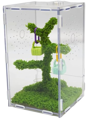 Jinymral Jumping Spider Enclosure with Jumping Spider Accessories – Acrylic Ventilation Terrarium Kit, Includes Feeding Tongs, Natural Decor, Habitat for Pet Spiders, Reptiles & Arboreal Pets