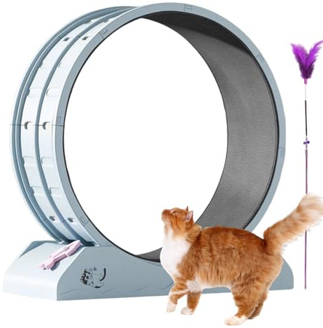 Rueda de para Gatos, Rueda de Ejercicio de Gato – Cinta de Correr de pérdida de Peso para Gatitos – Gran Ejercicio de Rueda de Gato para Interior, Cinta de Correr de Gatito de Seguridad con