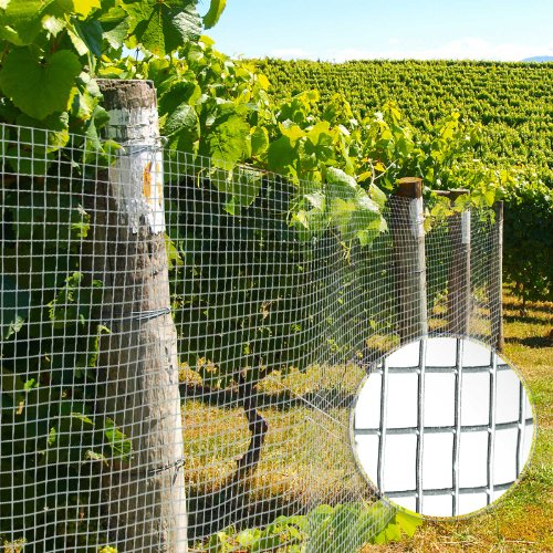 Floordirekt Volierendraht | Verzinkt | Drahtgitter | Drahtzaun | 4-Eck-Geflecht | Verschiedene Größen (50 cm x 5 m, 2,8 kg)
