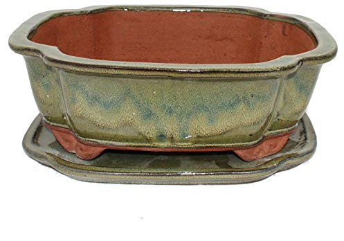 exotenherz - Bonsai-Schale mit Unterteller Gr. 5 - I4 - Oliv-braun - L 31,5cm - B 26cm - H 11cm