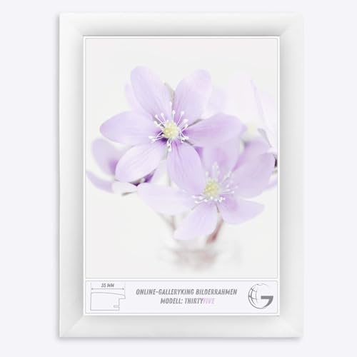 Online-GalleryKing Cornice Foto 19 x 19 cm Cornice per Poster Puzzle Collage di Foto Colore Bianco Opaco in Vetro antiriflesso e Cornice in MDF da 35 mm