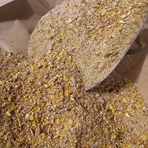 Debes Premium Legemehl mit Bierhefe 25 kg GVO-frei für Hühner und Geflugel | Futter für Legehennen ohne Gentechnik