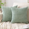 EMEMA Kissenbezug 50x50 cm Kordsamt Kissenbezüge Dekokissen Sofakissen Cord Kissenhülle Zierkissenbezug Kord Dekorative Weiche für Sofa Wohnzimmer Schlafzimmer 2er Set Hellgrün