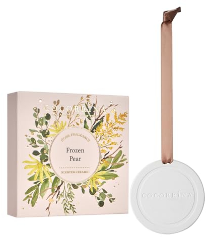 Cocorrína Autoduft - Frozen Pear Duftsäckchen für Schränke, handgefertigte duftende Keramik Geschenke für Männer Frauen Auto Lufterfrischer Raumduft