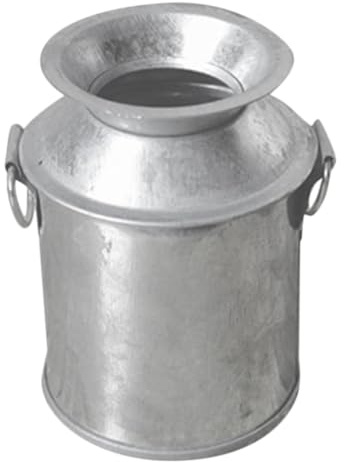 Toddmomy Mini Seau Métallique Vintage pour Plantes Intérieur Petit Vase pour Décoration DIY Ornement Compact pour Jardin et