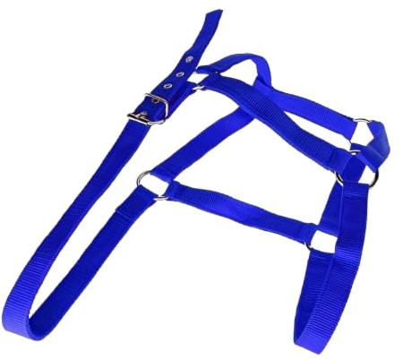Cabestro Ajustable Para Caballos Atrezzo Ajustable Para Pastoreo Y