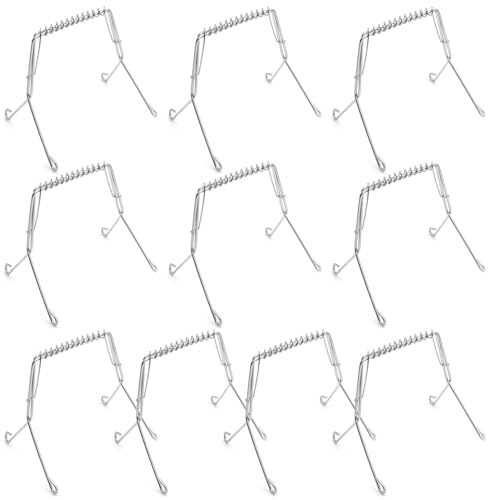 10 Pezzi Pinze per Involtini in Acciaio Inox, Morsetti per Involtini Riutilizzabili Spiedini per Barbecue Nella Cucina all'Aperto