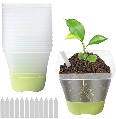 WANDGU Pépinière Pots Transparent: 12 Pièces Pot de Fleur Plastique Transparents avec Base en Silicone, Pots de Fleurs Réutilisables avec Trous de Drainage et Étiquettes pour Plantes, Fleurs, Légumes