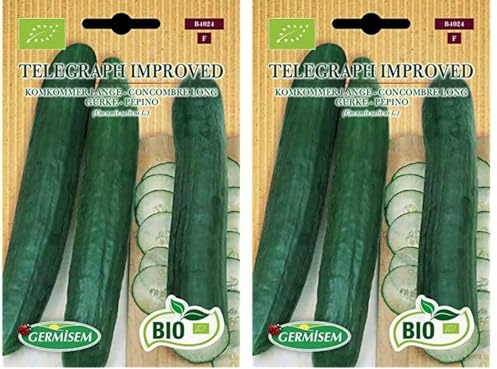 Germisem Biologico Telegraph Improved Semi di Cetriolo 5 g (Confezione da 2)