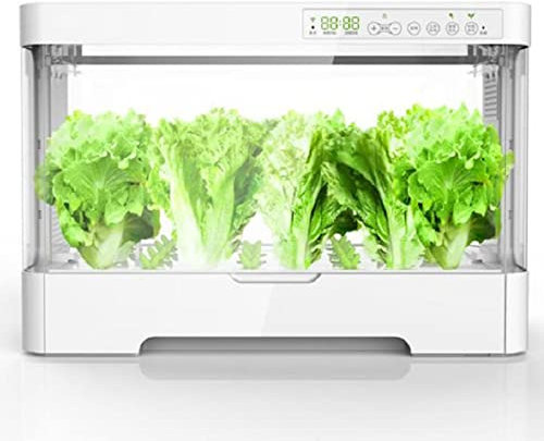 Giardino Intelligente(30 Baccelli) con Lampada LED per Piante Fioriera da Giardino per Germinazione Serra Idroponica con Timer Automatico per Casa Cucina Bianco