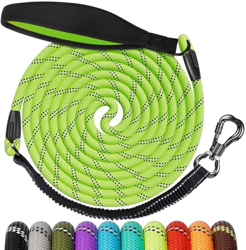 Aystkniet Schleppleine 20M für Hunde, Hundeleine mit Abnehmbare Elastische Kordel | Abschließbarer Haken | Gepolsterter Griff, Lange Laufleine Trainingsleine für Mittlere und Große Hunde
