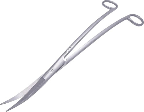 Innotech akvariesax akvarium rengöring våningssax svart växtsax för vattenväxter (silver, 25 cm)
