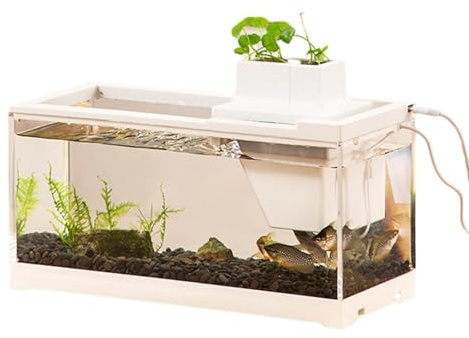 Aquarium de table - Réservoir avec pompe à eau basse tension, aquarium de bureau facile à alimenter | Grande ouverture illumine un aquarium, aquarium de table étanche pour