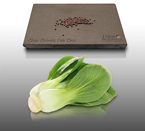 100 graines à semer - Le Grenier d'Abondance - CHOU CHINOIS Pack Choi - Brassica rapa