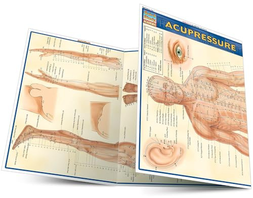 Acupressure: Laminated Reference Guide (QuickStudy Academic) (Quick Study Academic Outline)