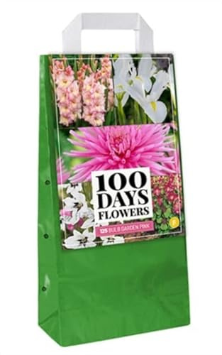 Jub - 125 Bulbes fleurs Roses à planter