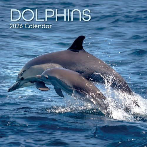 The Gifted Stationary 2026 Square Wall Calendar, Dolphins, 16-Month Animals Theme Hanging Calendar with 180 Reminder Stickers, Month Planner for Creative Spaces, 12x12 In