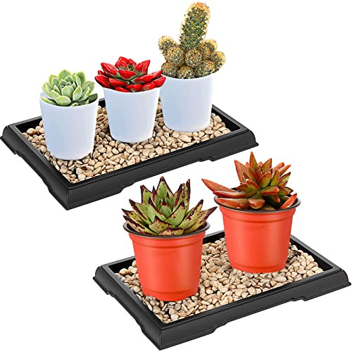 Pinkunn Paquete de 2 bandejas de humedad para bonsái, bandeja de goteo de plástico para plantas y agua, platillos para interiores y exteriores, cactus, suculentas, árbol bonsái, piedra no incluida