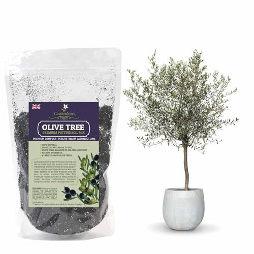 Premium Olive Tree Potting Mix - Perfect Balance of Air, Moisture, and Nutrients - 2 Liters Bag