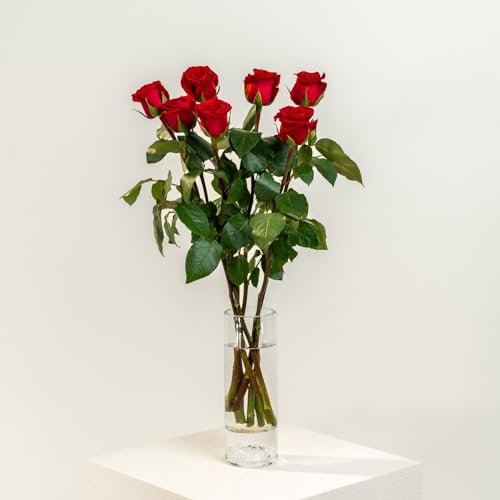 eFIORI Mazzo di 7 Rose Rosse Vere, Dedica Personalizzata e Consegna Fiori a Domicilio - Bouquet di Rose Fresche a Calice Grande - Idea Regalo per lei - Centrotavola e Decorazioni interni