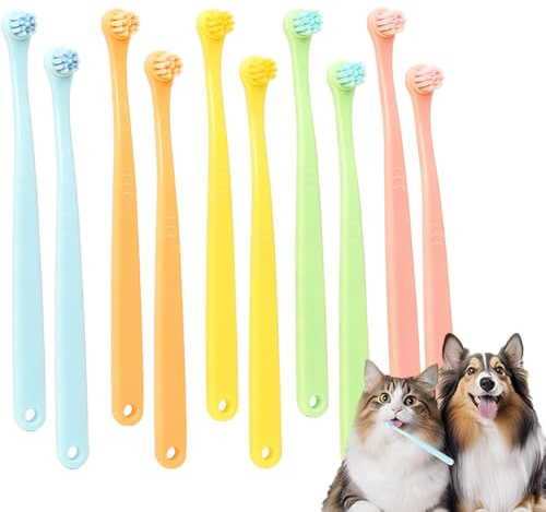 YFTRFR 10 Pièces Mini Brosses à Dents Souples pour Chien et Chat Hygiène Buccale pour Animaux Compagnie Sensibles Facile à Utiliser Portable Réduit Tartre Nettoyage de la Bouche pour Chiot et Chaton