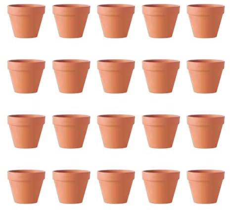 Lot de 20 Petits Pots en Terre Cuite avec Trou de Drainage 4,5 x 4 cm