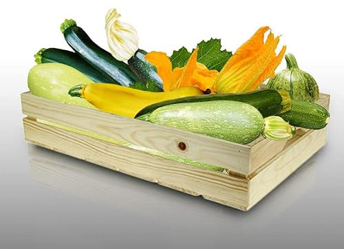 Lot de 80 graines de Courgettes à semer - Le Grenier d'Abondance - Fan de Courgettes - 7 variétés