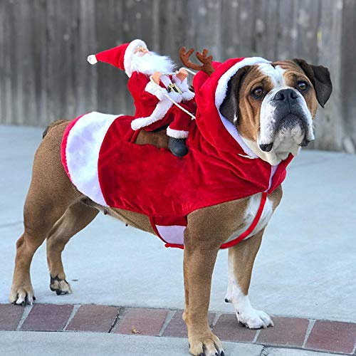 Husdjurskläder Löpande Tomte Hundkostym Jul,Hundkläder Fest Utklädd Kläder,Jultomten Rider på Husdjurskostym Utklädd Kläder för Små Stora Hundar Katter Kläder Husdjurskläder(M)