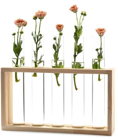 MPEIPILA Anzuchtvasen Glas, Vermehrungsstation Pflanzen, Mini Vasen Mit Holzständer, Blumenvase Vintage, Vasen Deko, Blumenvase Modern, Blumenvase für Ablegerb, Vasen Klein Tischdeko