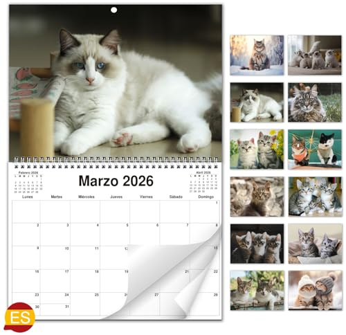AEYAKA Calendario de Pared de Gatos 2026 – Planificador Mensual con Fotos de Gatos, Calendario Colgante Formato A3, Organizador Familiar y de Oficina, Regalo para los Amantes de los Gatos Español