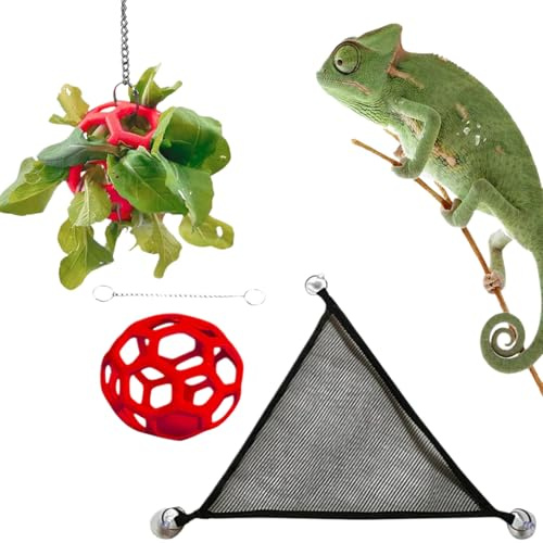 Hängmatta för skäggig solstol med boll | Klättringshängmatta för skäggiga drakar, kameleont, matning av grönsaker i terrarium