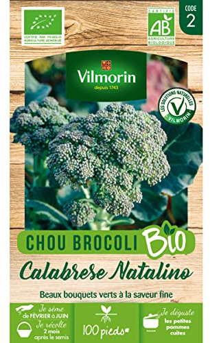 Vilmorin - Sachet graines Chou Brocoli Calabrese Natalino BIO